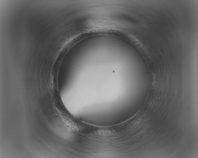 X0000052610636200507011228