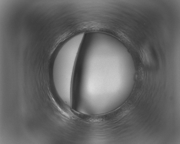 X0000052610638200507011228