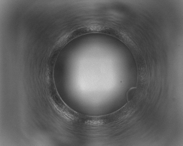 X0000052610639200507011228