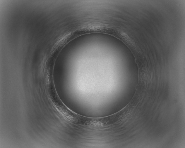 X0000052610640200507011228