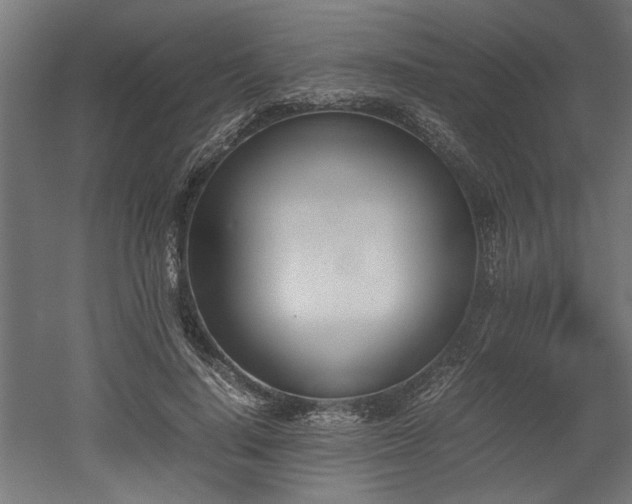 X0000052610644200507011228