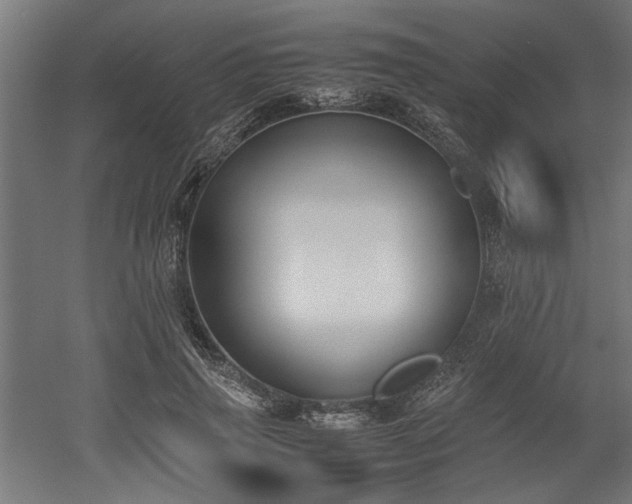 X0000052610645200507011228