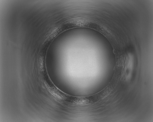 X0000052610646200507011228