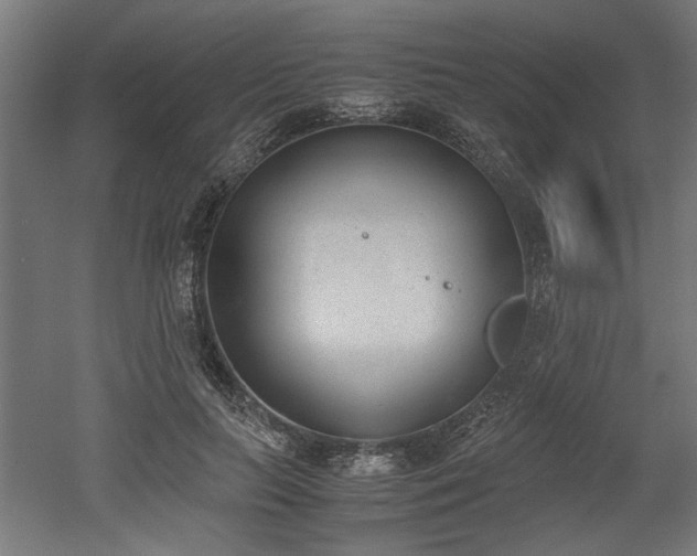 X0000052610647200507011228