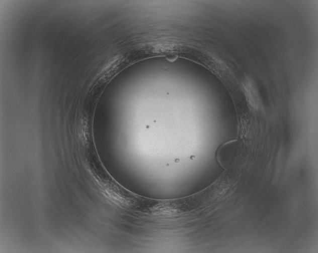 X0000052610648200507011228