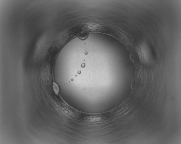 X0000052610651200507011228