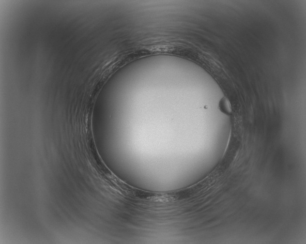 X0000052610652200507011228