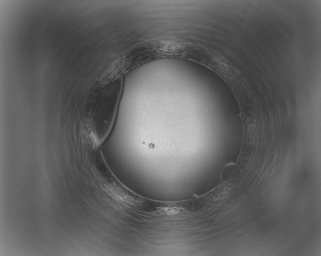 X0000052610654200507011228