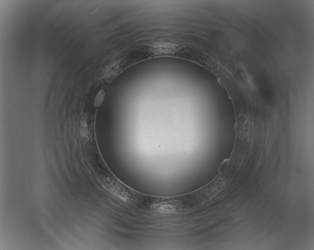 X0000052610655200507011228