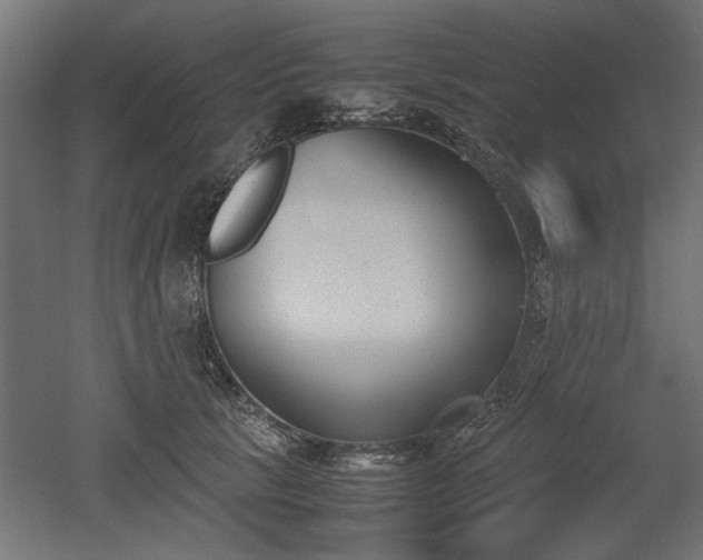 X0000052610657200507011229