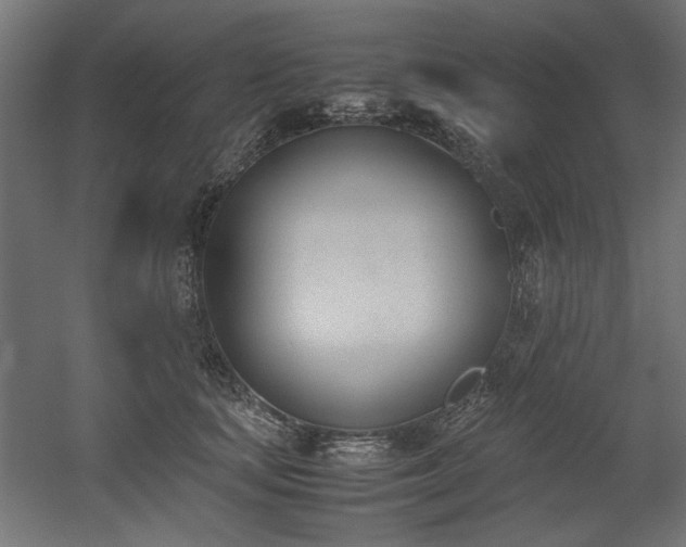 X0000052610659200507011229