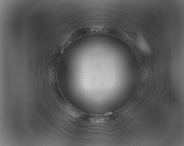 X0000052610661200507011229