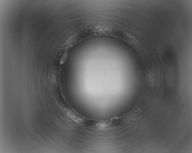 X0000052610662200507011229