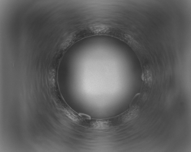 X0000052610664200507011229