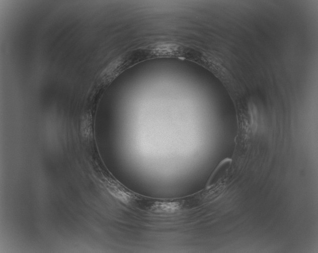 X0000052610665200507011229