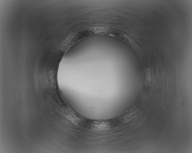 X0000052610667200507011229