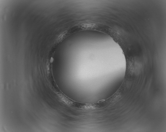 X0000052610668200507011229