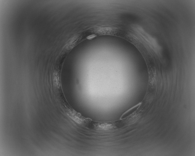 X0000052610669200507011229