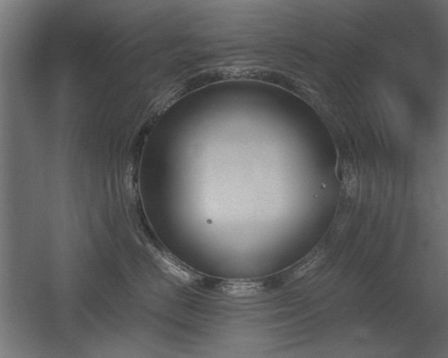 X0000052610670200507011229