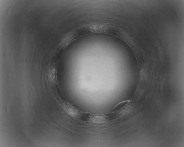 X0000052610671200507011229