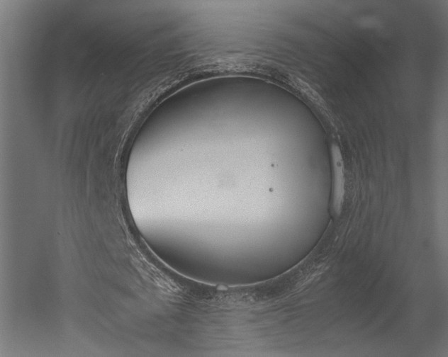 X0000052610673200507011228