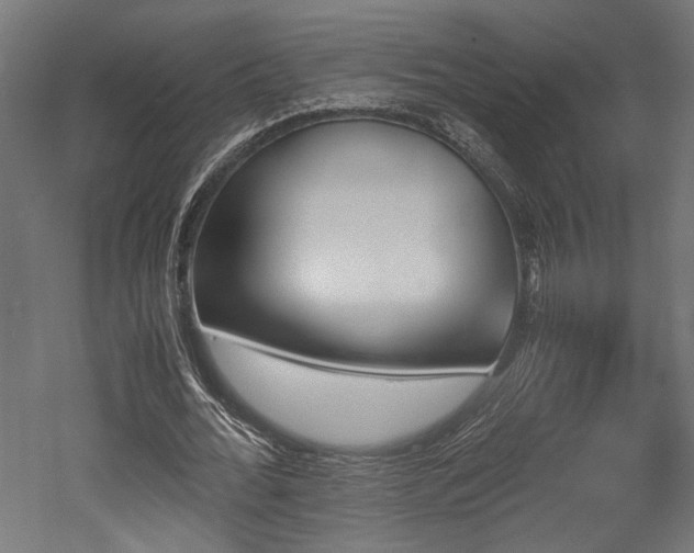 X0000052610676200507011228