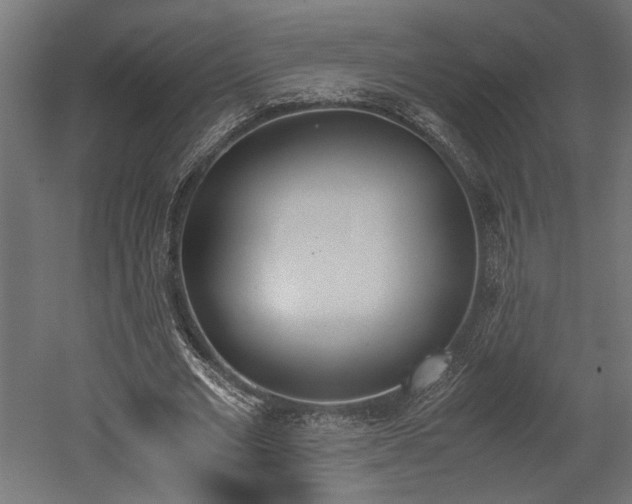 X0000052610677200507011228