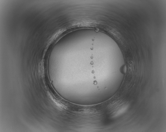 X0000052610678200507011228