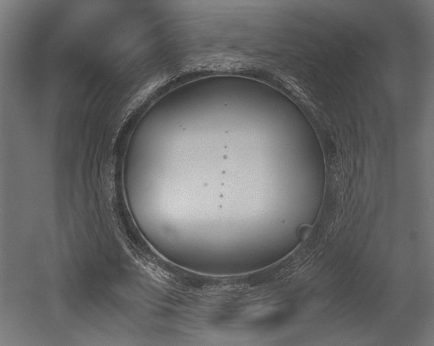 X0000052610679200507011228