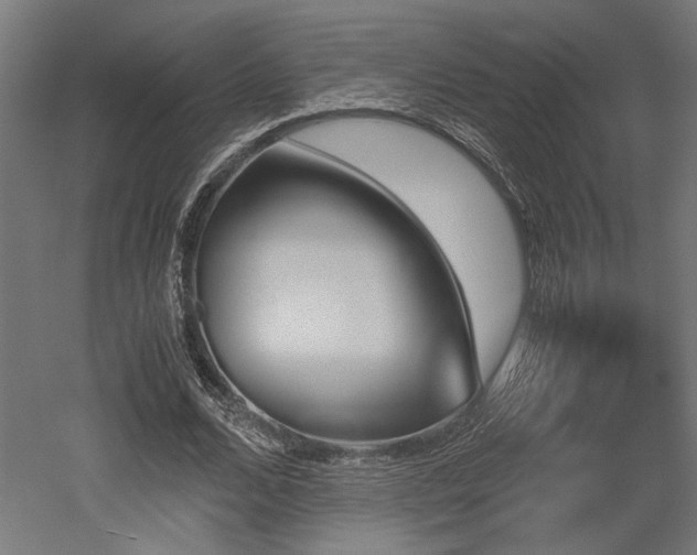 X0000052610680200507011228