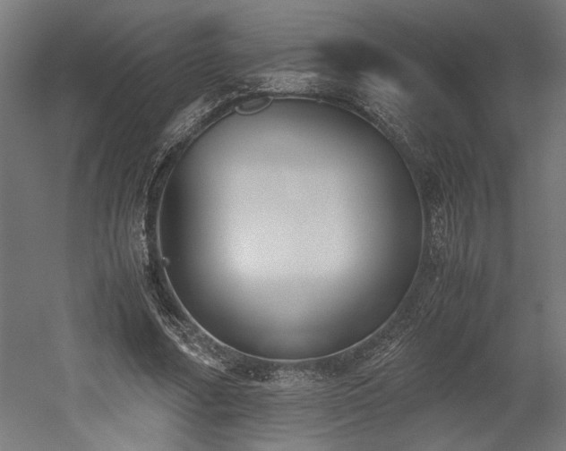 X0000052610682200507011228