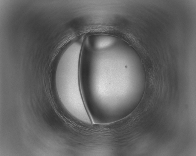 X0000052610683200507011228