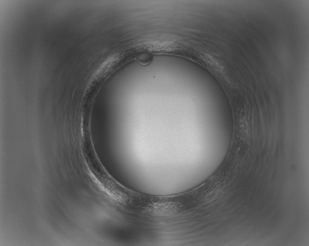 X0000052610686200507011228