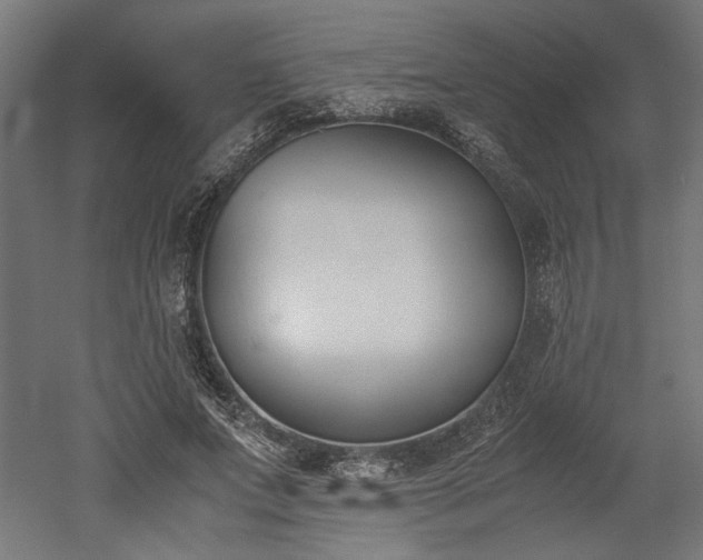 X0000052610687200507011228