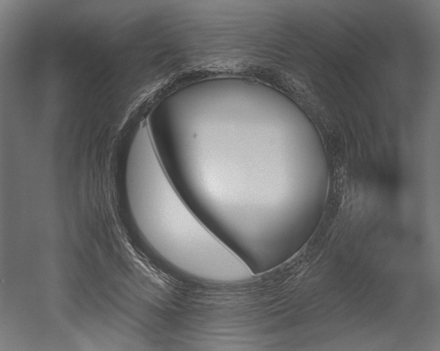 X0000052610688200507011228