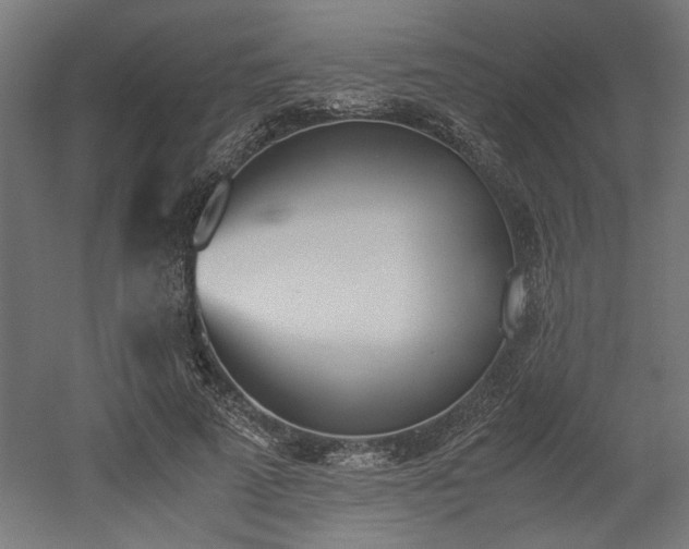 X0000052610689200507011228