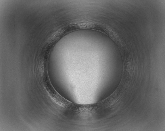 X0000052610690200507011228