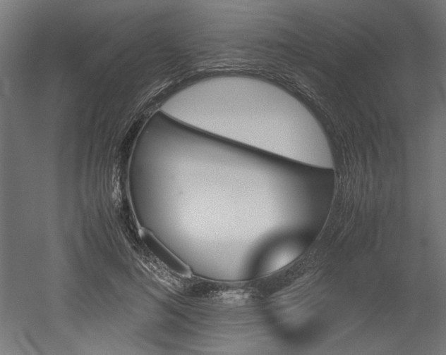 X0000052610692200507011228