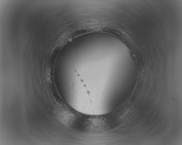 X0000052610693200507011228