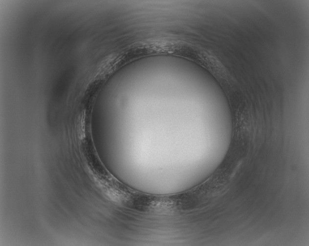 X0000052610694200507011228