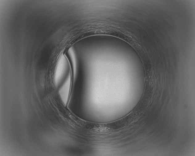 X0000052610695200507011228