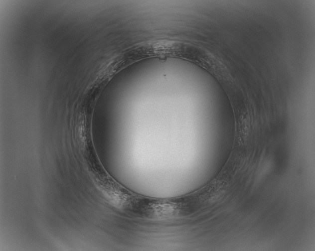 X0000052610698200507011228