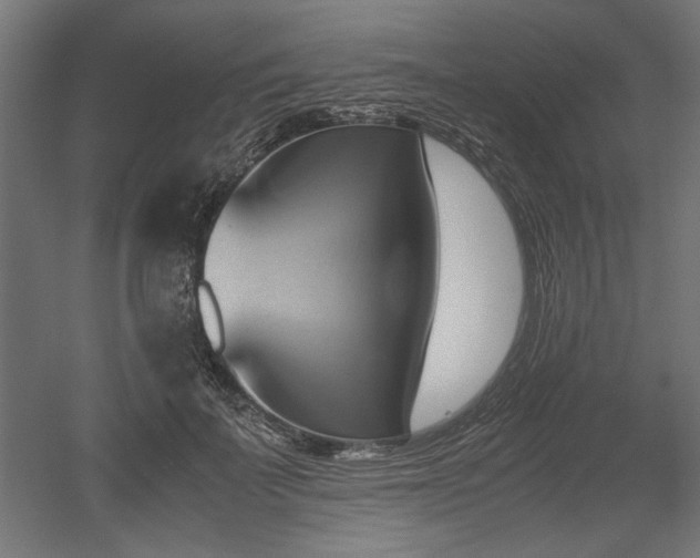 X0000052610699200507011228