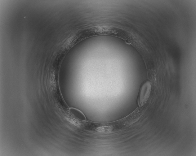 X0000052610700200507011227