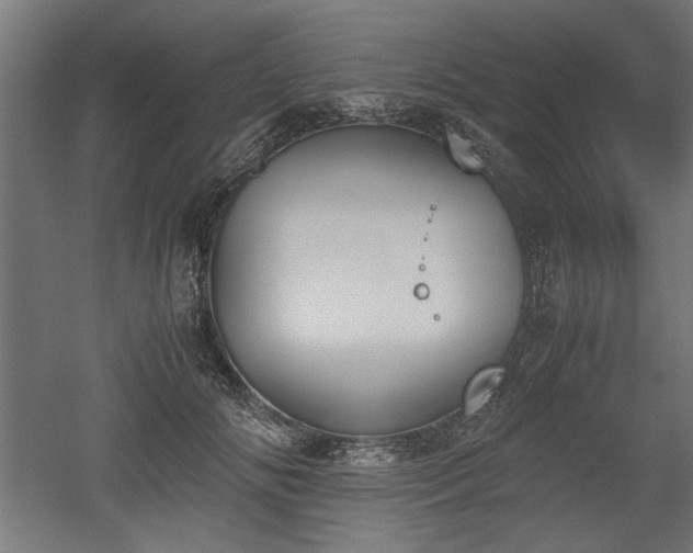 X0000052610702200507011227