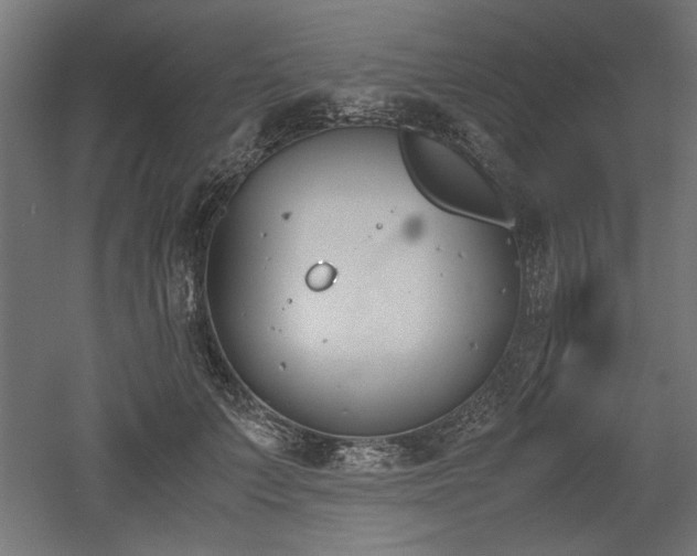 X0000052610703200507011227