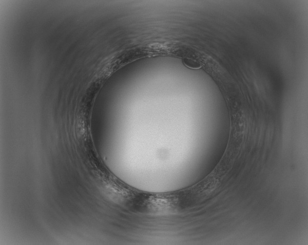 X0000052610706200507011227