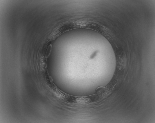 X0000052610707200507011227