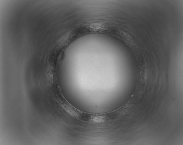 X0000052610710200507011227