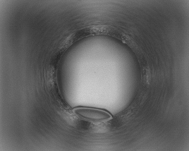 X0000052610712200507011227